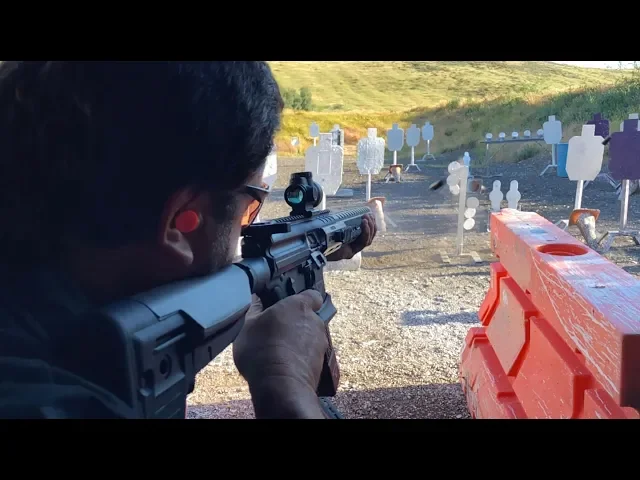 honest review: the tti sig mpx gen